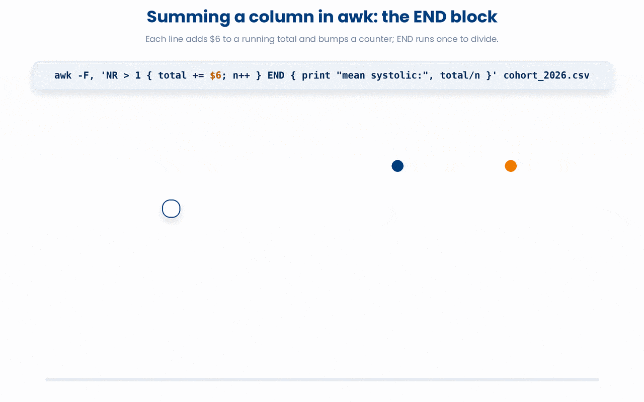 In awk, undeclared variables default to 0, the per-line block runs once for each data line to accumulate a sum and a count, and the END block runs a single time after the last line to turn that running total into a mean.