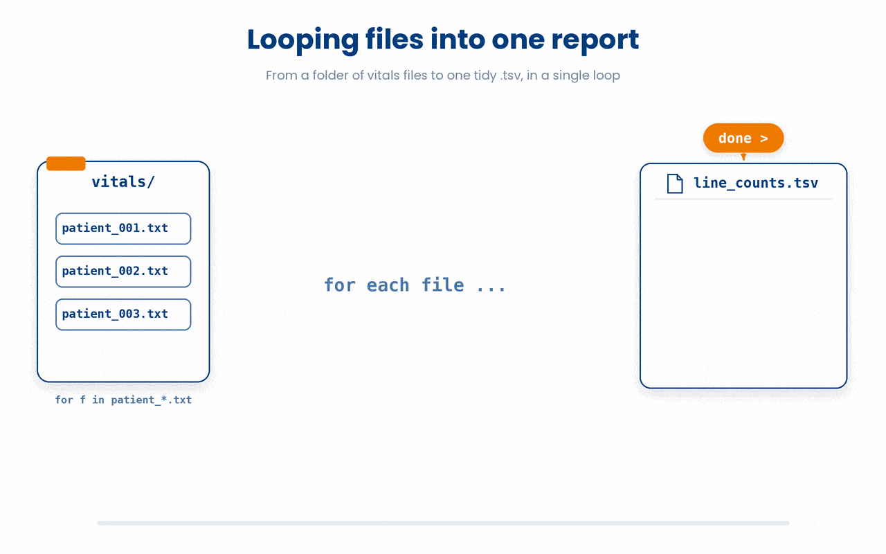 A single redirect placed after done collects every iteration of a for loop into one file, so looping over files with basename and wc -l yields one tidy .tsv report rather than one file per pass.