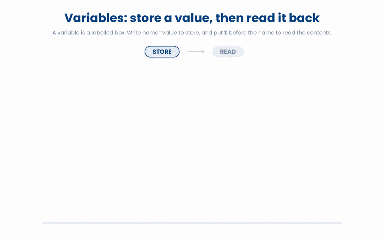 A bash variable is a named store; writing name=value puts a value in, and $name reads a copy of it back out.