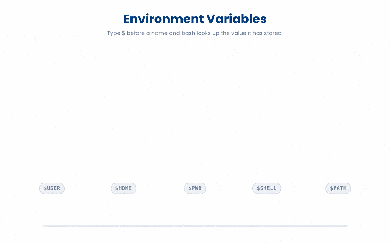 A leading $ tells bash to substitute an environment variable with the value it already holds, from your username and home folder to the colon-separated PATH it searches when you type a command.