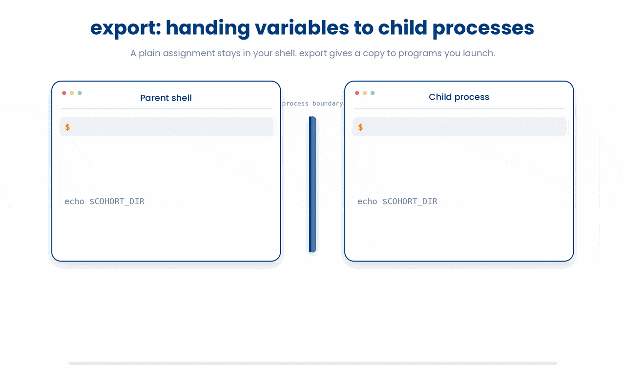 A shell variable is private to the shell that sets it; export is what hands a copy down to the programs and scripts that shell launches, and that copy is independent, so a child's edits never change the parent.