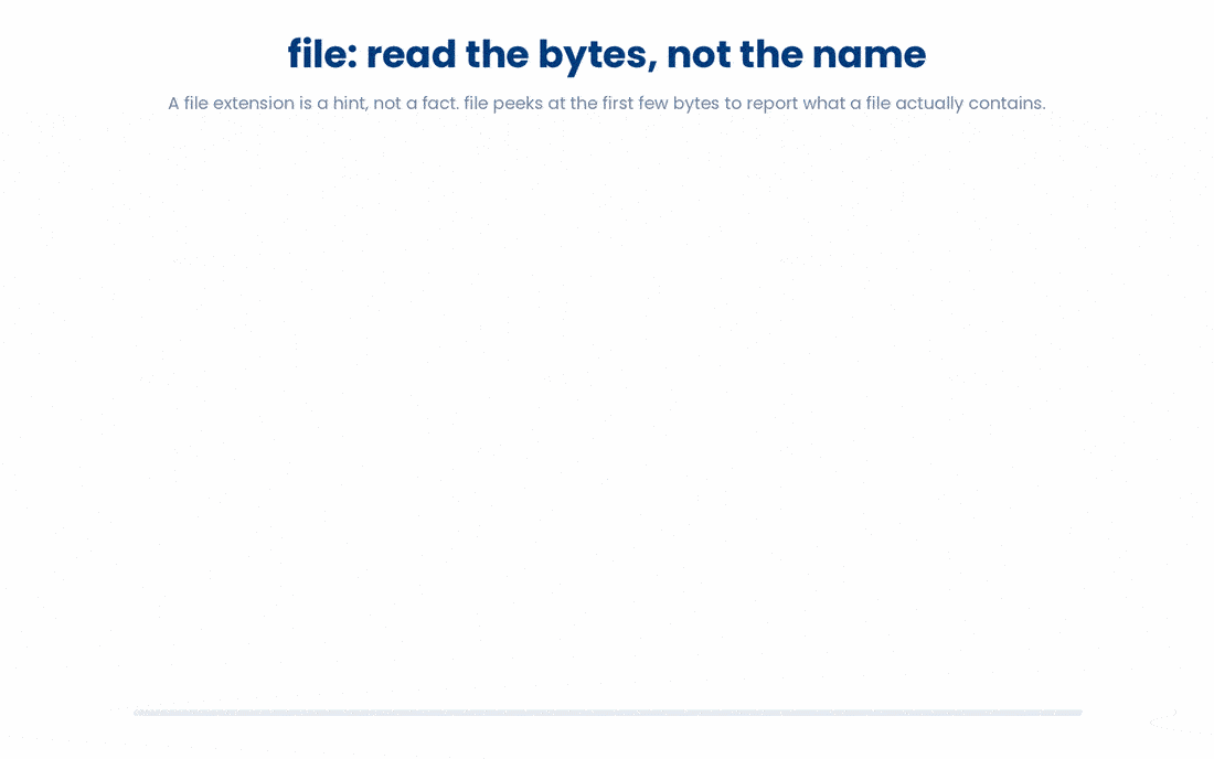 A file's extension is just a renamable label, so to know what a file truly is you run file.
