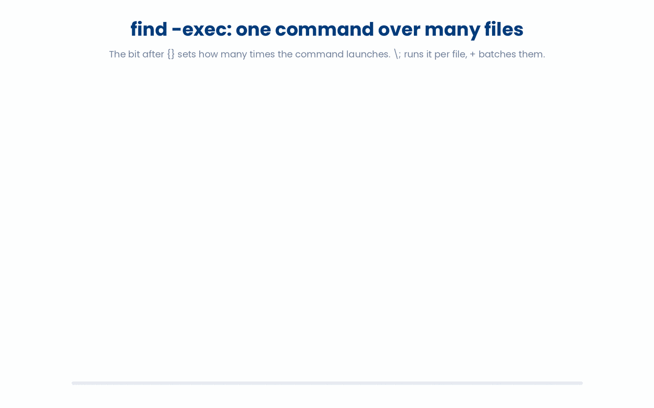 In find -exec, ending with ; runs the command once per matched file while ending with + hands many files to a single invocation, so + launches the program far fewer times and is much faster on large file sets.