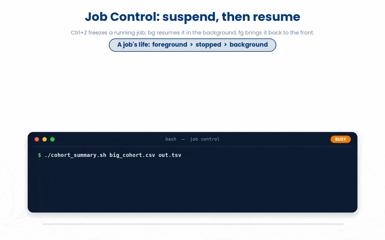 A suspended job is frozen (0% CPU) but still alive, and you choose where it resumes, bg keeps it running while freeing your prompt, fg hands the terminal back to it.