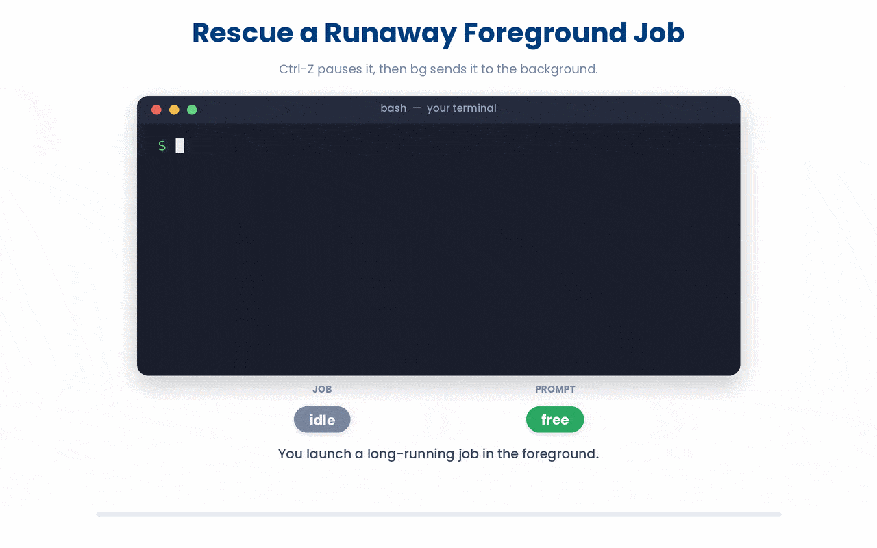 Ctrl-Z only pauses a foreground job (freezing it while freeing your prompt); it takes bg to actually resume that job in the background, so it keeps running while you carry on working.
