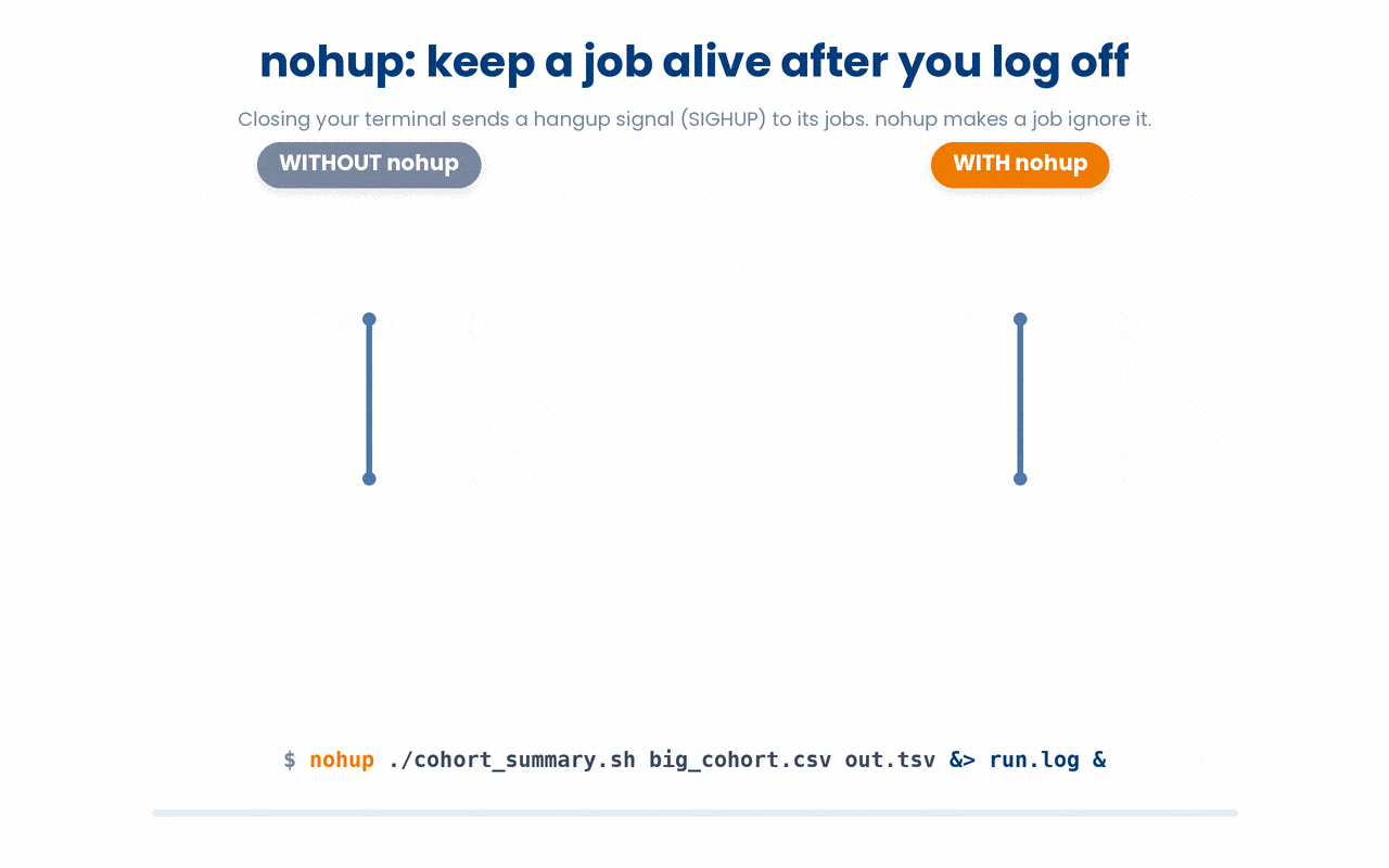 A job started normally is tied to your login session, so logging off sends it a hangup signal that kills it, whereas prefixing the job with nohup makes it ignore that signal so it survives and finishes after you disconnect.