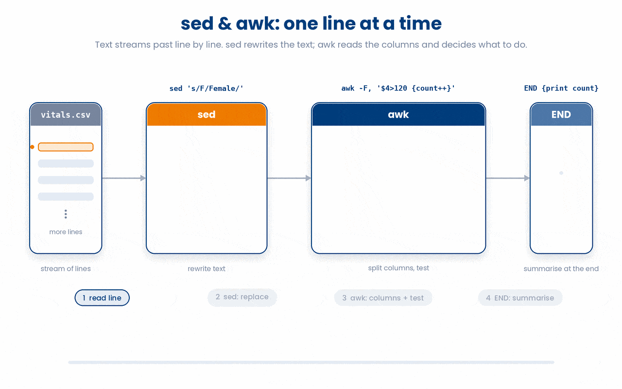 sed and awk both process text one line at a time, sed rewriting the text of each line while awk splits each line into columns ($1 to $NF) to test a condition and an END block aggregates a result after the final line.