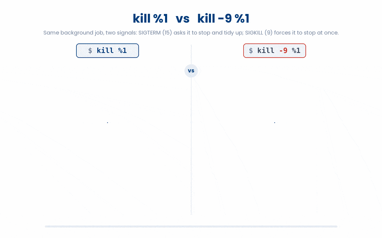 SIGTERM (kill %1) asks a job to stop so it can save its work and clean up, whereas SIGKILL (kill -9) forces an instant, uncatchable stop that can leave half-written scratch files behind.