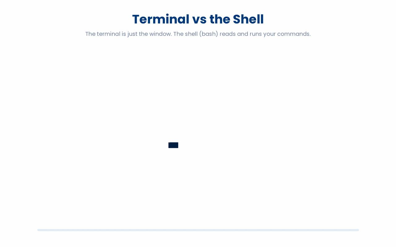 The terminal is the window you type in; the shell, bash, is the program that reads and runs your commands.