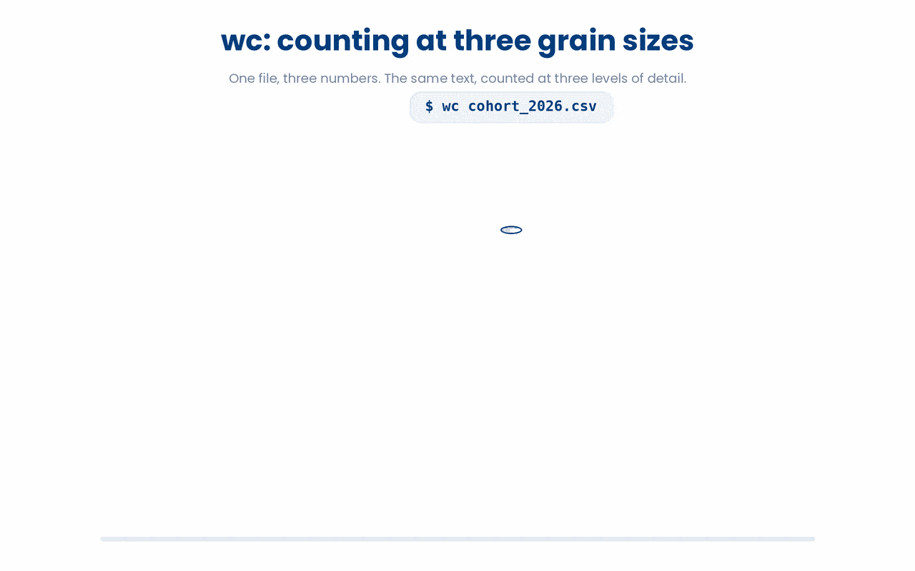 wc reports one body of text at three nested grain sizes (lines, then space-separated words, then individual bytes), and because a CSV's header is itself a line, the patient count is the line count minus one.