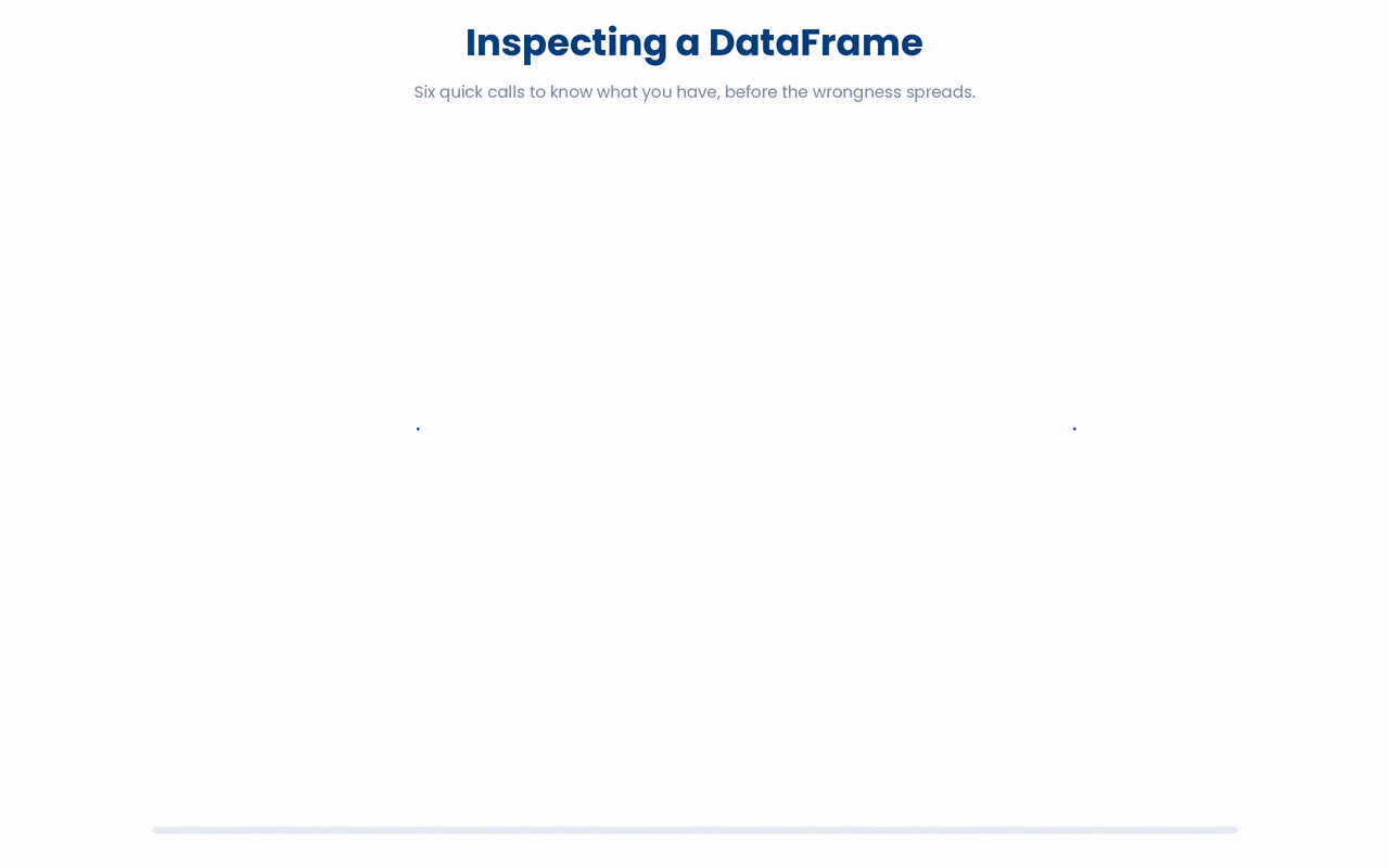 Six pandas DataFrame inspection methods demonstrated on a sample patient dataset.