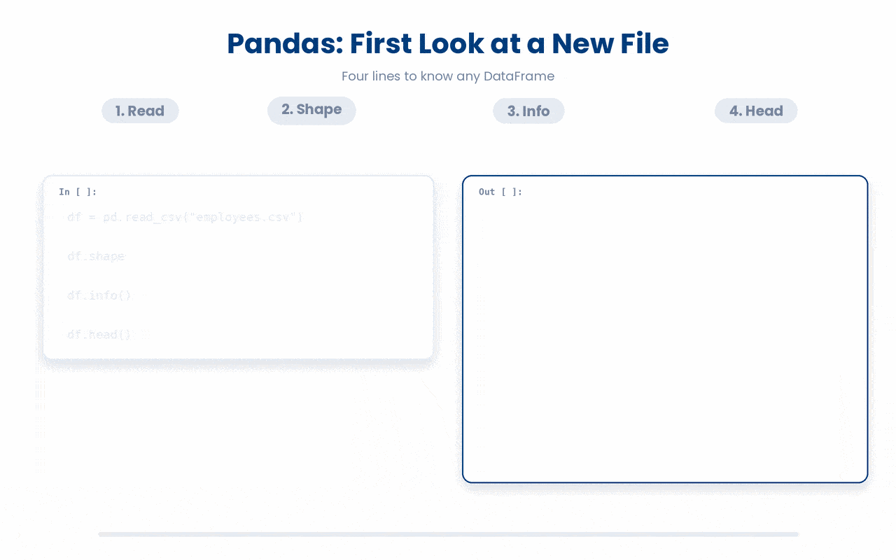 First-pass workflow with pandas to understand the dataset